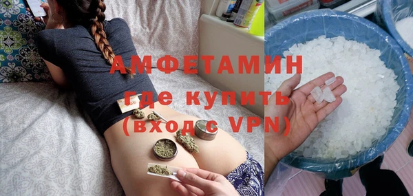 индика Белоозёрский