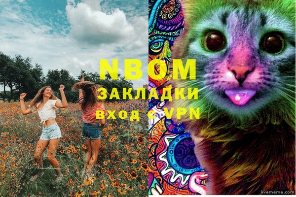 мдпв Белокуриха