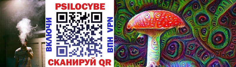 дарнет шоп Чадан Псилоцибиновые грибы MAGIC MUSHROOMS